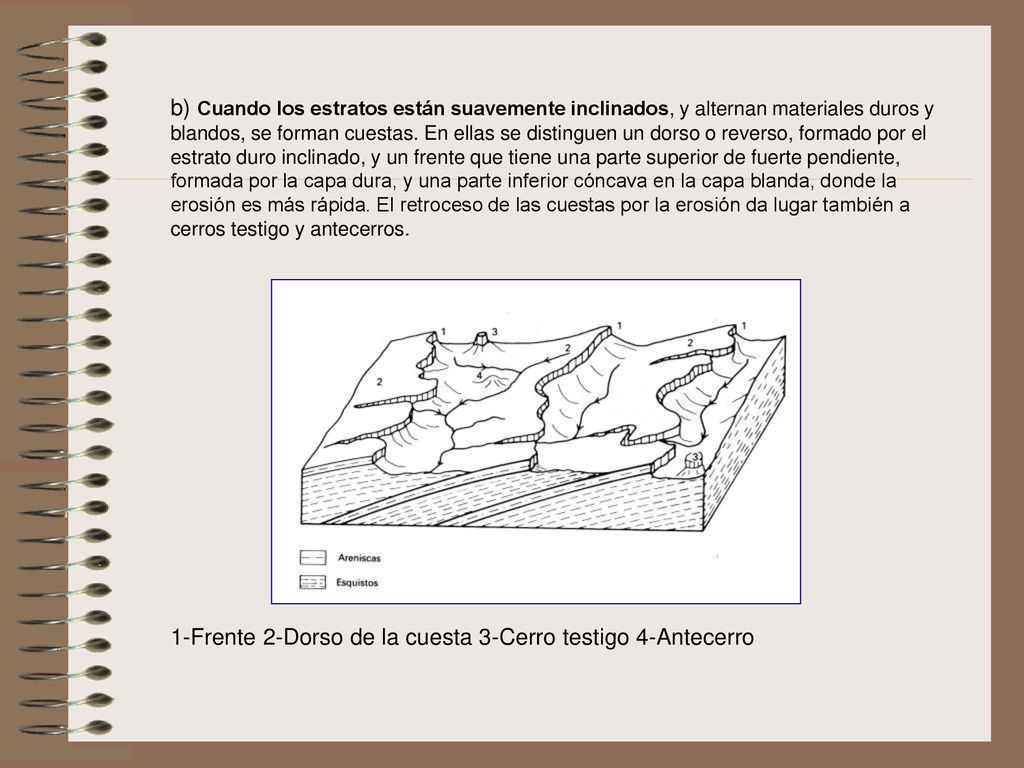 b) Cuando los estratos están suavemente inclinados, y alternan materiales duros y blandos, se forman cuestas. En ellas se distinguen un dorso o reverso, formado por el estrato duro inclinado, y un frente que tiene una parte superior de fuerte pendiente, formada por la capa dura, y una parte inferior cóncava en la capa blanda, donde la erosión es más rápida. El retroceso de las cuestas por la erosión da lugar también a cerros testigo y antecerros.