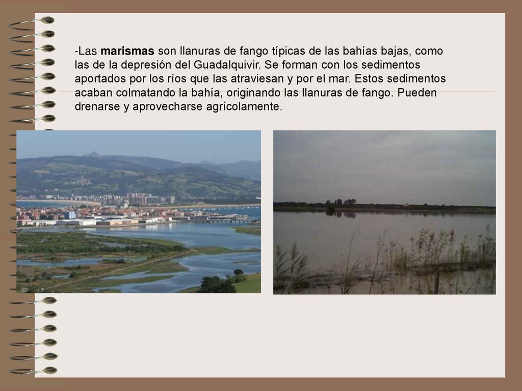 -Las marismas son llanuras de fango típicas de las bahías bajas, como las de la depresión del Guadalquivir.