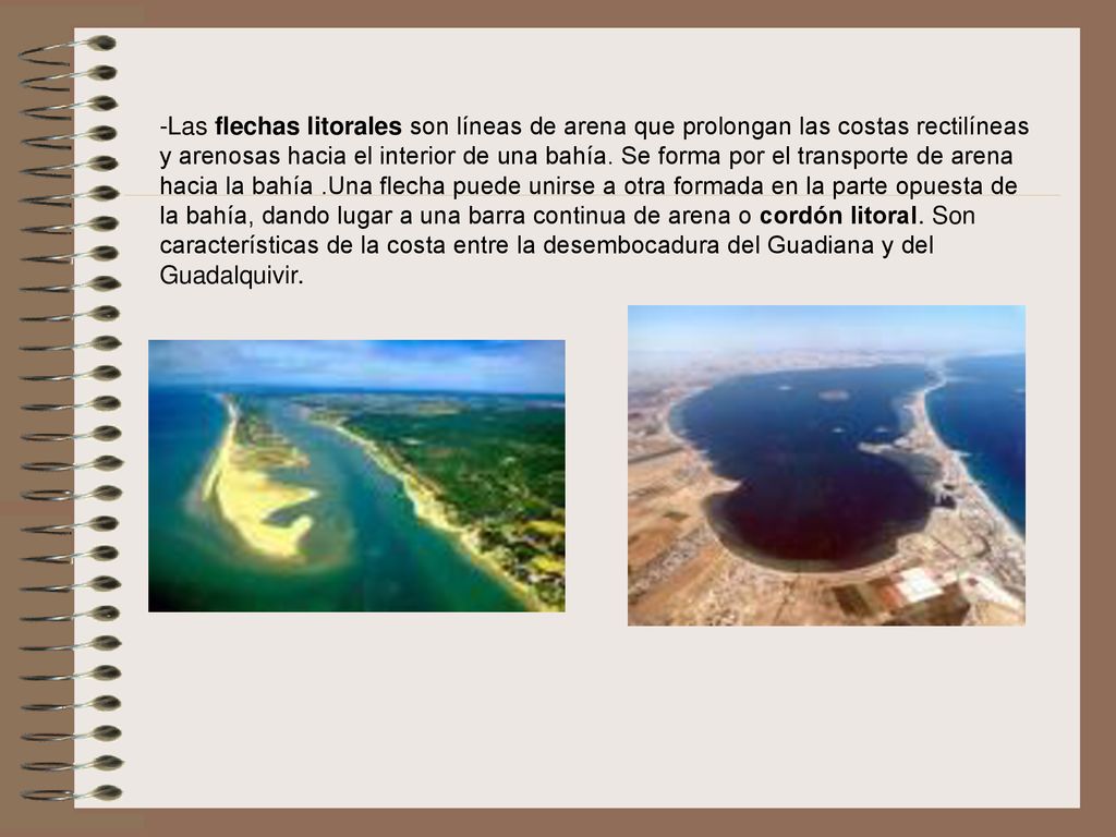 -Las flechas litorales son líneas de arena que prolongan las costas rectilíneas y arenosas hacia el interior de una bahía.