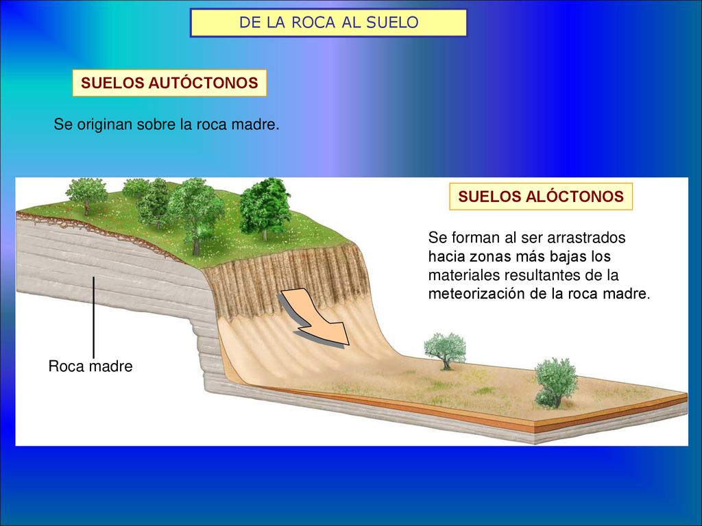 DE LA ROCA AL SUELO SUELOS AUTÓCTONOS. Se originan sobre la roca madre. SUELOS ALÓCTONOS.