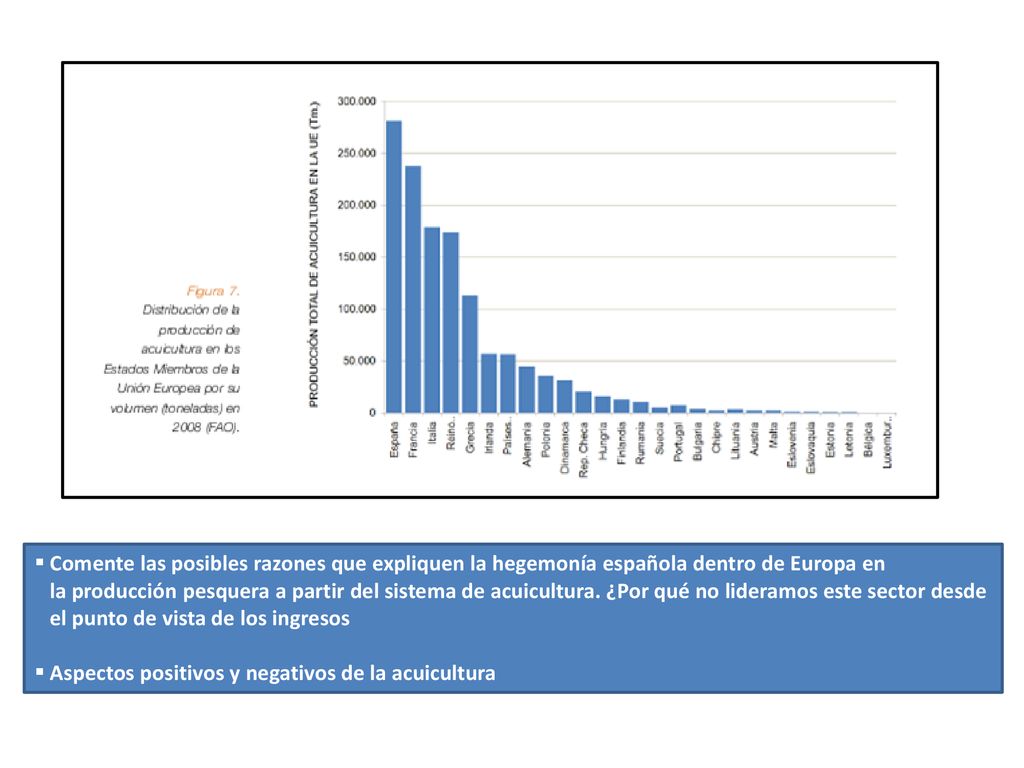 Comente las posibles razones que expliquen la hegemonía española dentro de Europa en