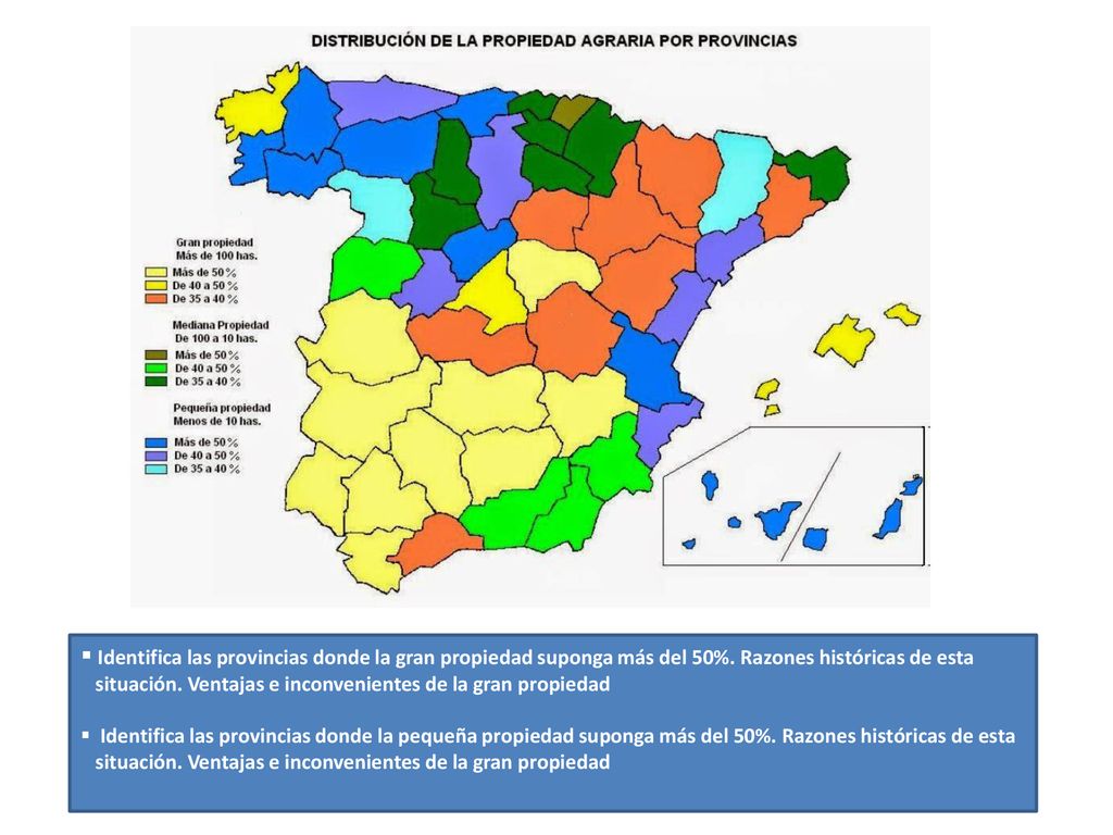 Identifica las provincias donde la gran propiedad suponga más del 50%