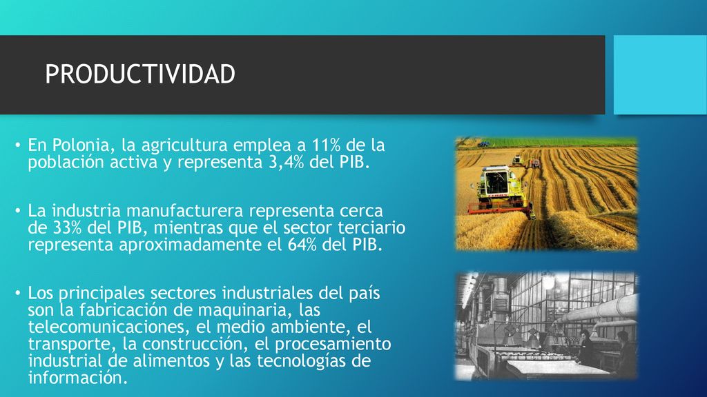 PRODUCTIVIDAD En Polonia, la agricultura emplea a 11% de la población activa y representa 3,4% del PIB.