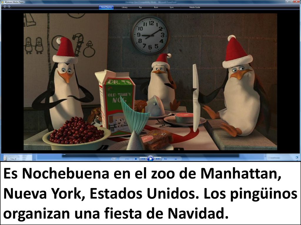 Es Nochebuena en el zoo de Manhattan, Nueva York, Estados Unidos