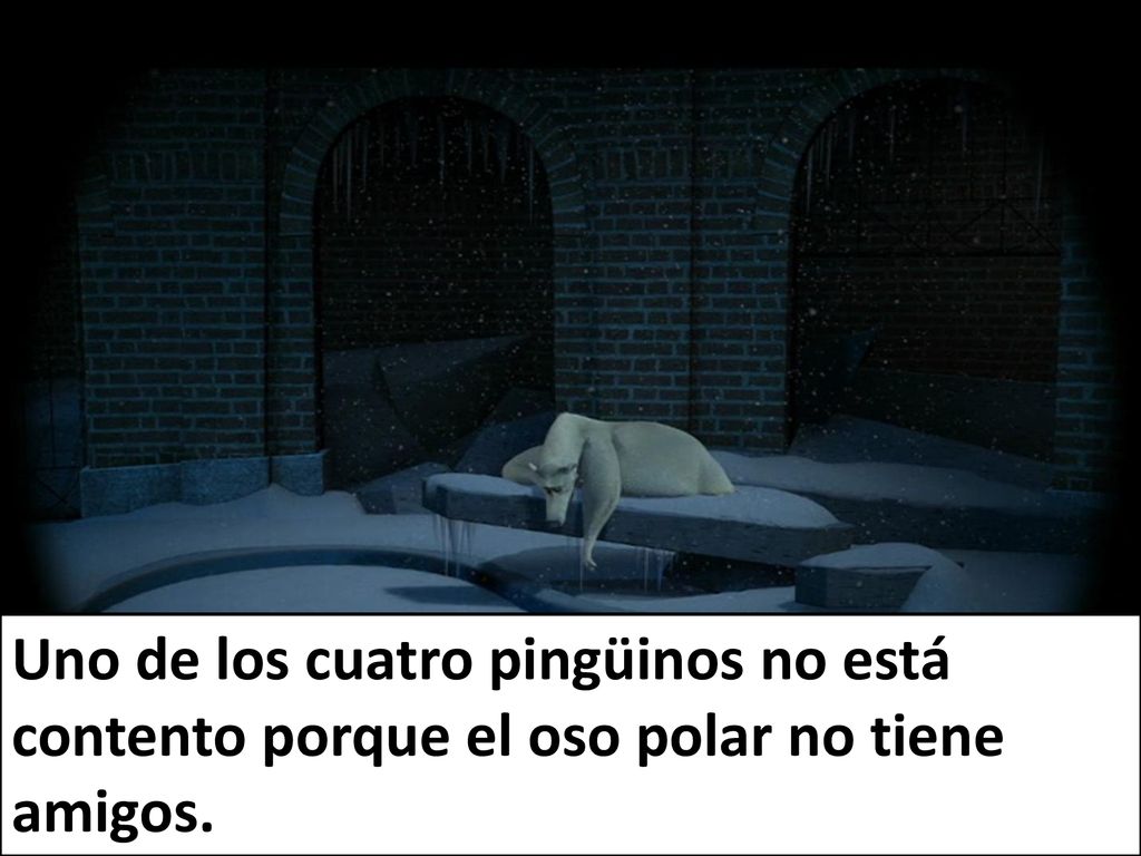 Uno de los cuatro pingüinos no está contento porque el oso polar no tiene amigos.