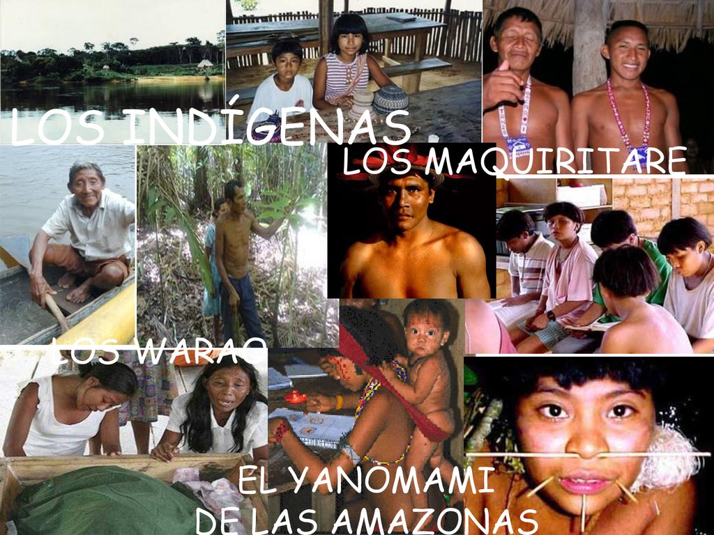 LOS INDÍGENAS LOS MAQUIRITARE LOS WARAO EL YANOMAMI DE LAS AMAZONAS
