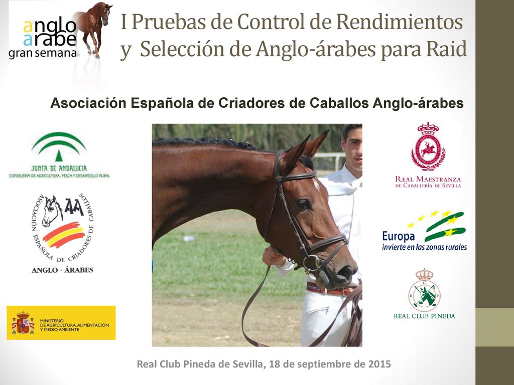 Real Club Pineda de Sevilla, 18 de septiembre de 2015