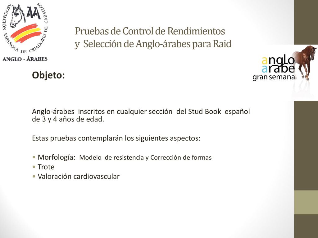Pruebas de Control de Rendimientos y Selección de Anglo-árabes para Raid