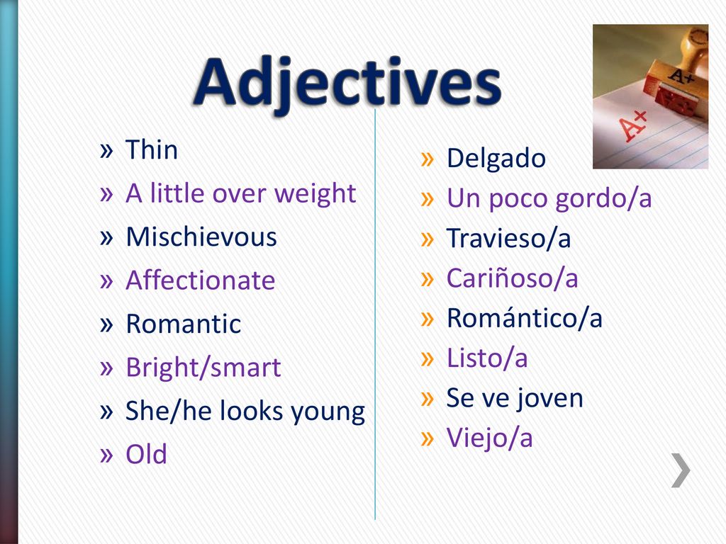 Adjectives Thin Delgado A little over weight Un poco gordo/a