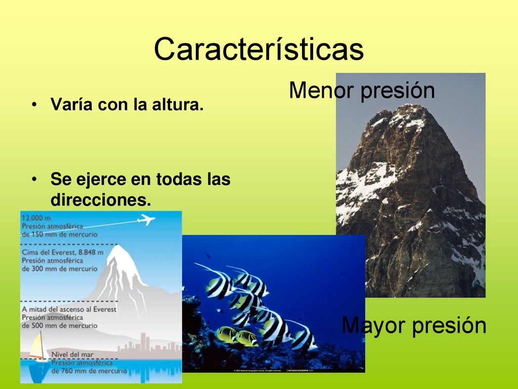Características Menor presión Mayor presión Varía con la altura.