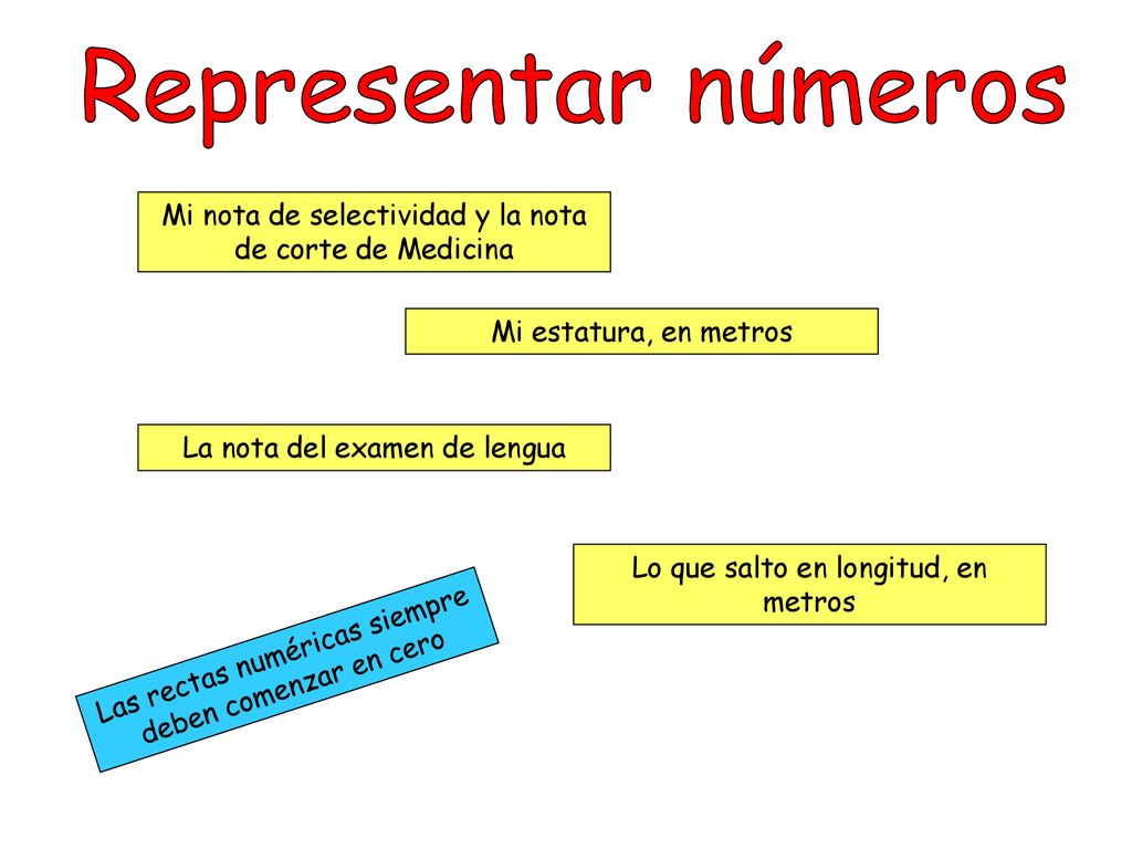 Representar números Mi nota de selectividad y la nota de corte de Medicina. Mi estatura, en metros.