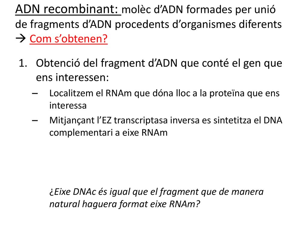ADN recombinant: molèc d’ADN formades per unió de fragments d’ADN procedents d’organismes diferents  Com s’obtenen