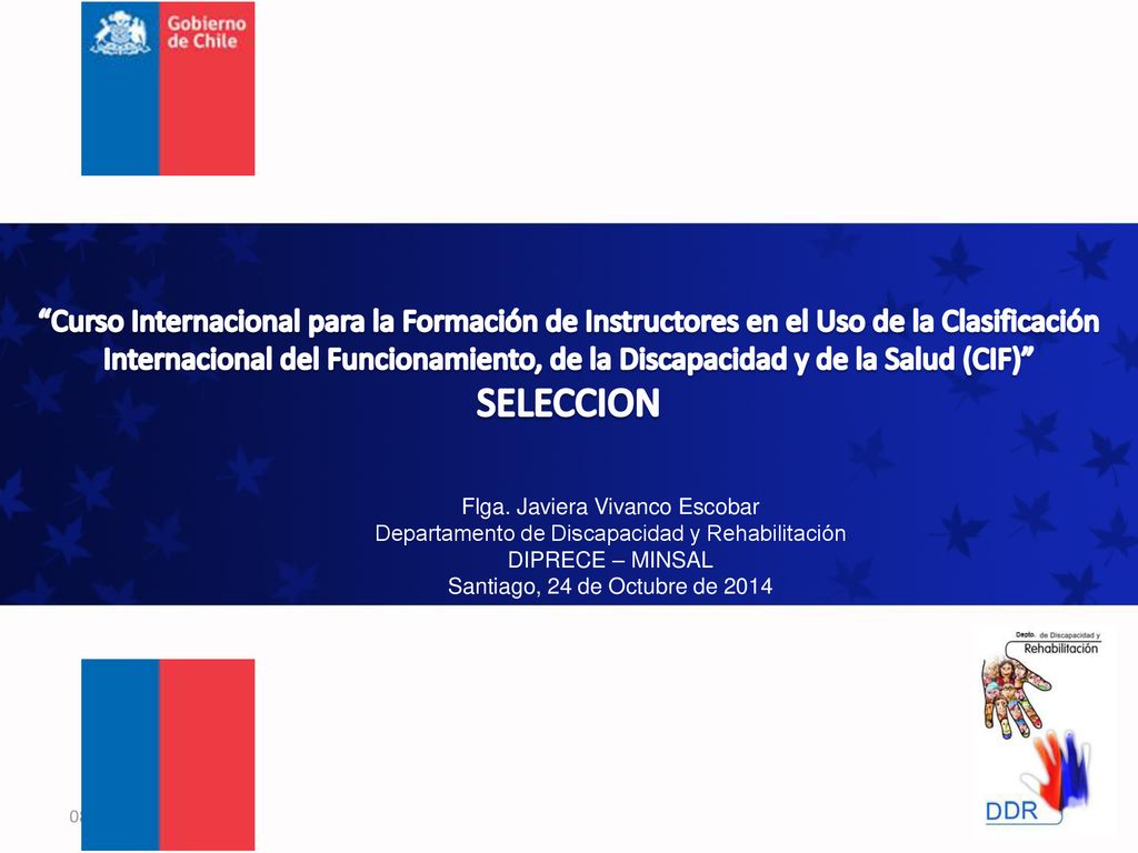 Curso Internacional para la Formación de Instructores en el Uso de la Clasificación Internacional del Funcionamiento, de la Discapacidad y de la Salud (CIF) SELECCION
