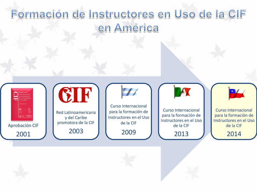 Formación de Instructores en Uso de la CIF en América