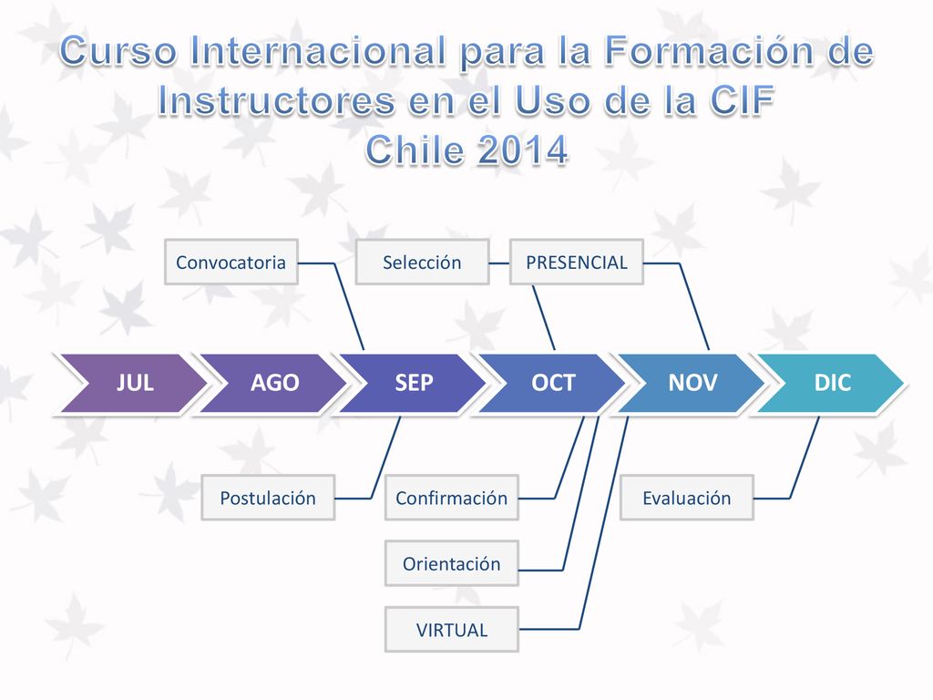 Curso Internacional para la Formación de Instructores en el Uso de la CIF
