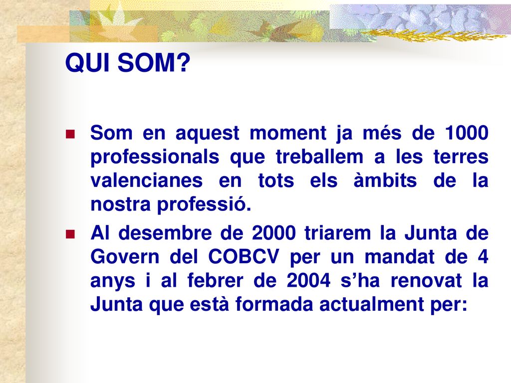 QUI SOM Som en aquest moment ja més de 1000 professionals que treballem a les terres valencianes en tots els àmbits de la nostra professió.