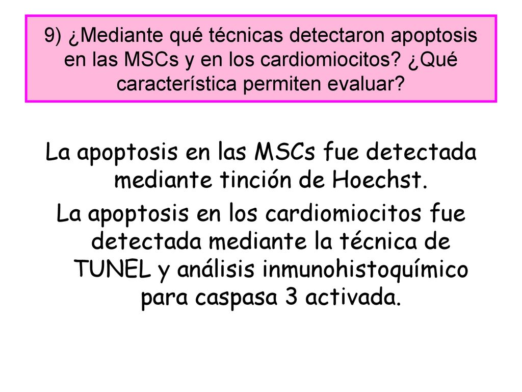 La apoptosis en las MSCs fue detectada mediante tinción de Hoechst.