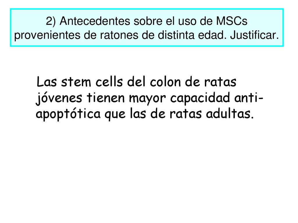 2) Antecedentes sobre el uso de MSCs provenientes de ratones de distinta edad. Justificar.