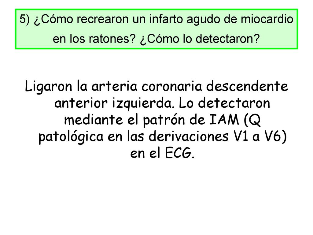 5) ¿Cómo recrearon un infarto agudo de miocardio en los ratones