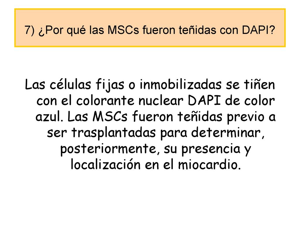 7) ¿Por qué las MSCs fueron teñidas con DAPI