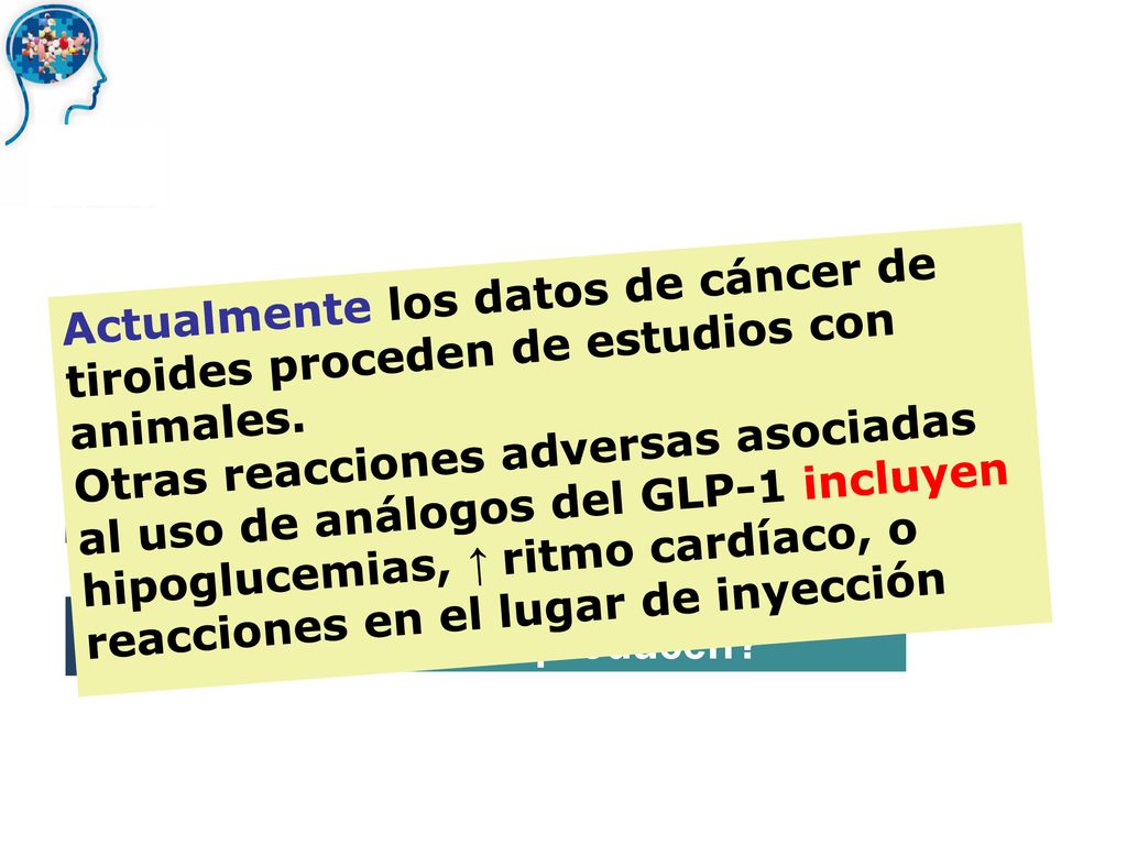 Actualmente los datos de cáncer de tiroides proceden de estudios con animales.