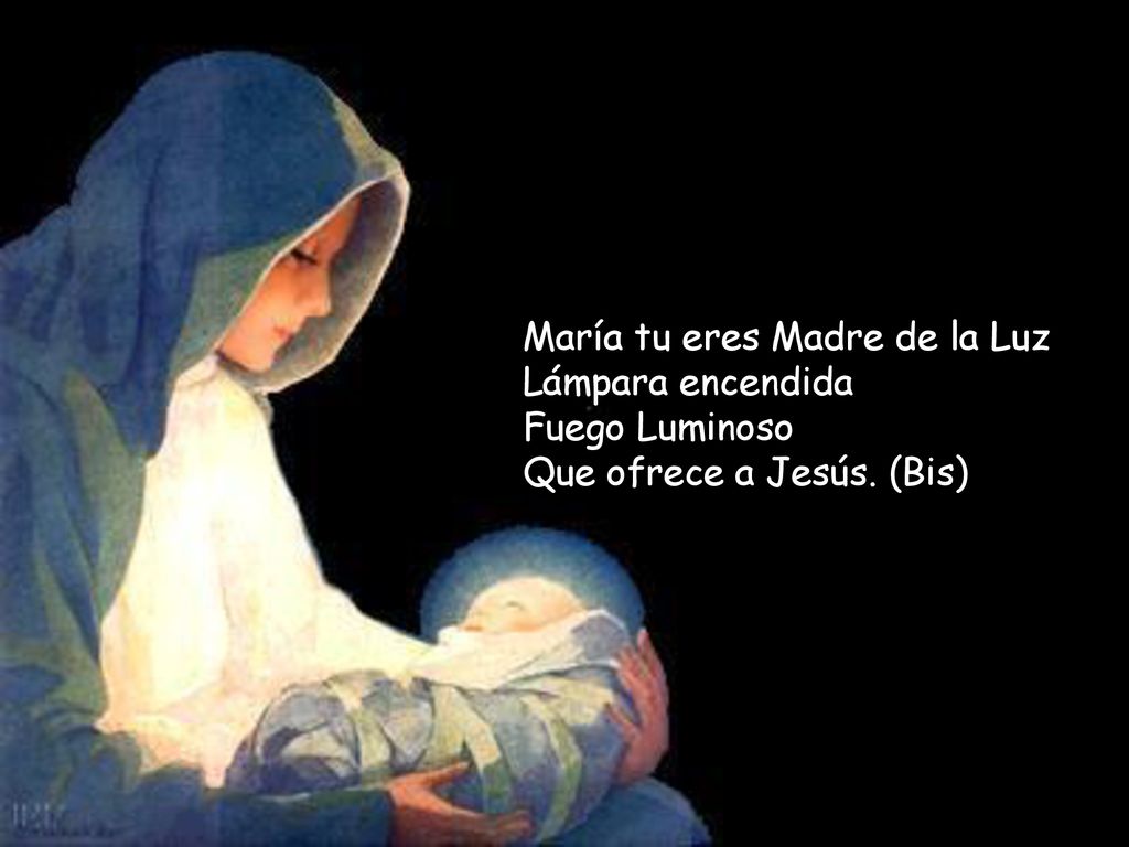 María tu eres Madre de la Luz Lámpara encendida Fuego Luminoso Que ofrece a Jesús. (Bis)