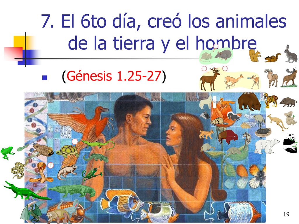 7. El 6to día, creó los animales de la tierra y el hombre