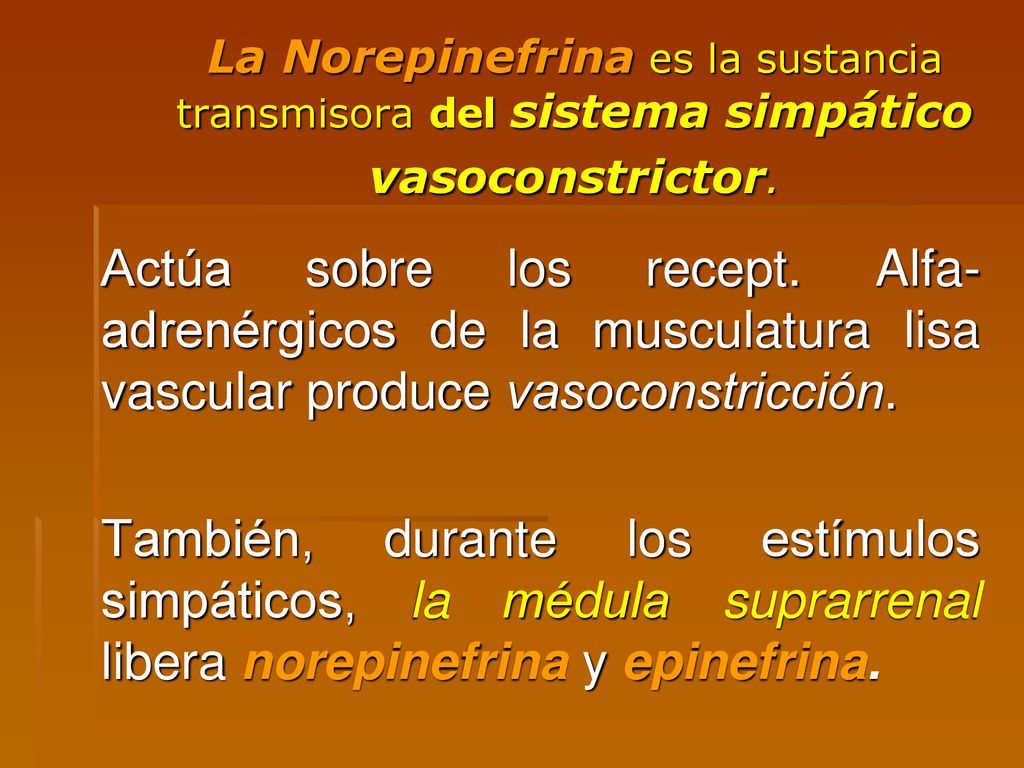La Norepinefrina es la sustancia transmisora del sistema simpático vasoconstrictor.