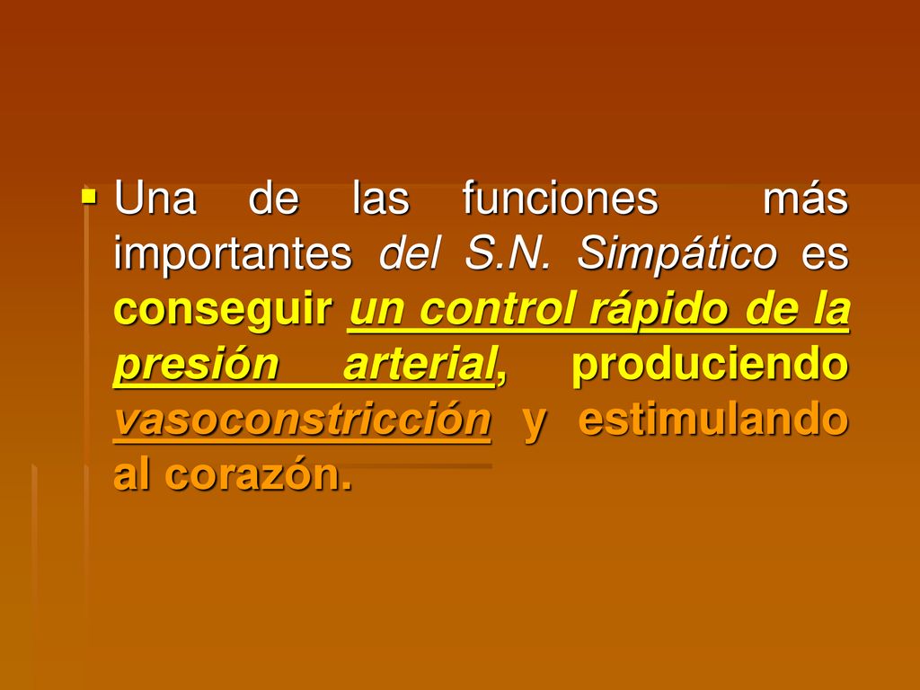 Una de las funciones más importantes del S. N