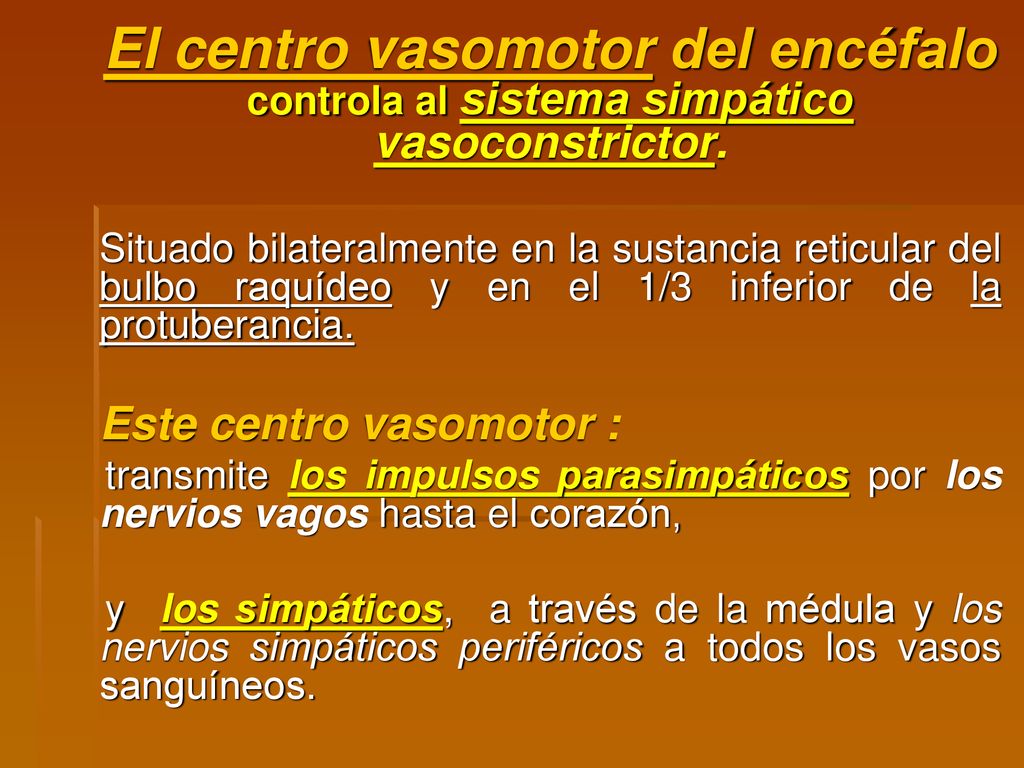 El centro vasomotor del encéfalo controla al sistema simpático vasoconstrictor.