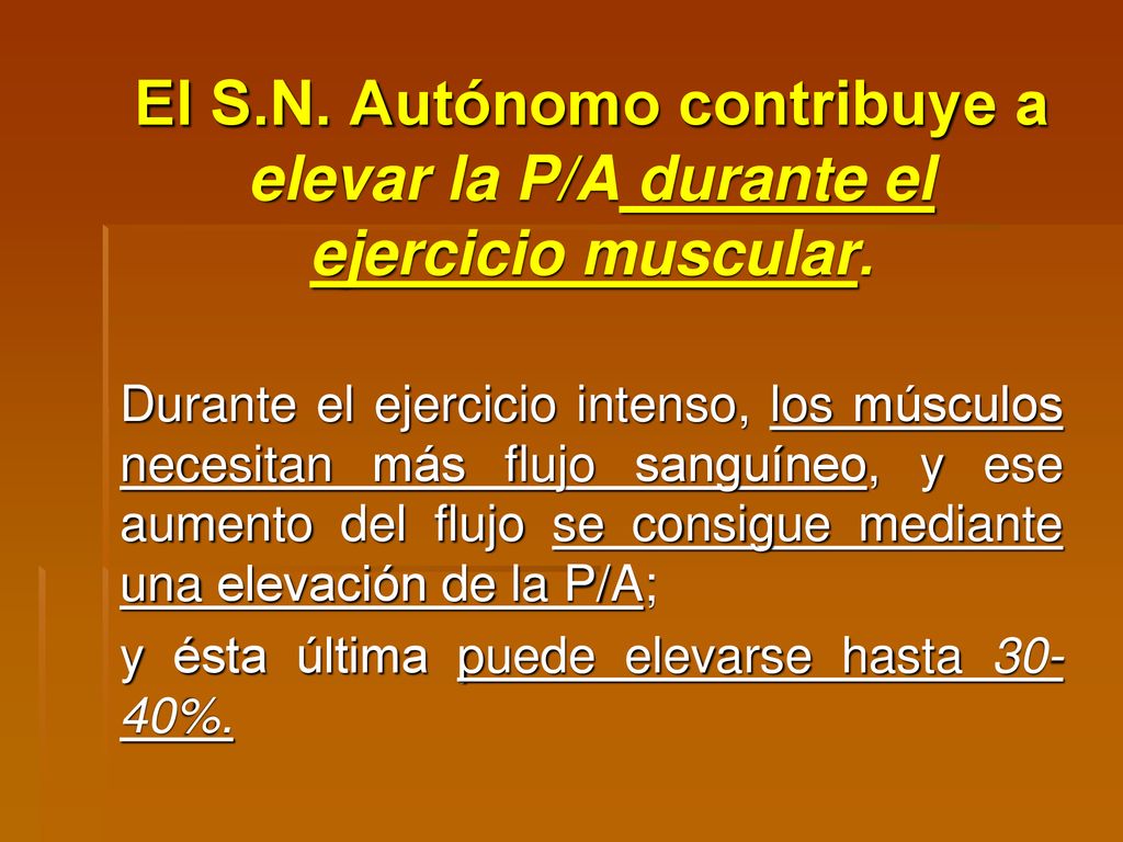 El S.N. Autónomo contribuye a elevar la P/A durante el ejercicio muscular.