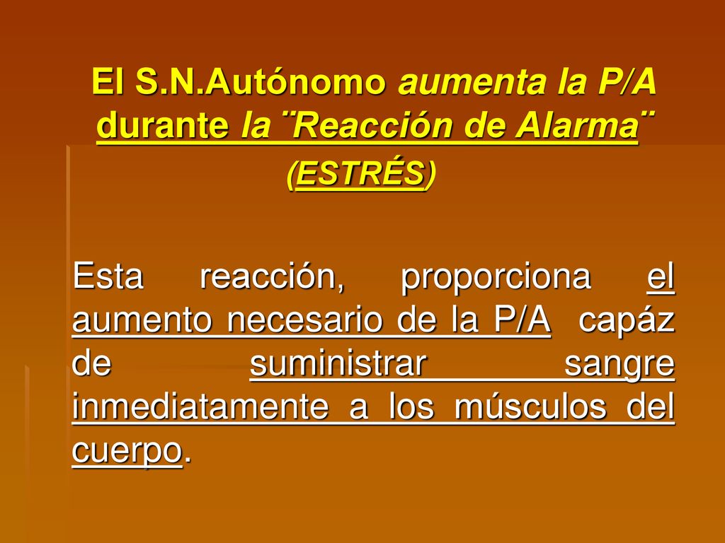 El S.N.Autónomo aumenta la P/A durante la ¨Reacción de Alarma¨