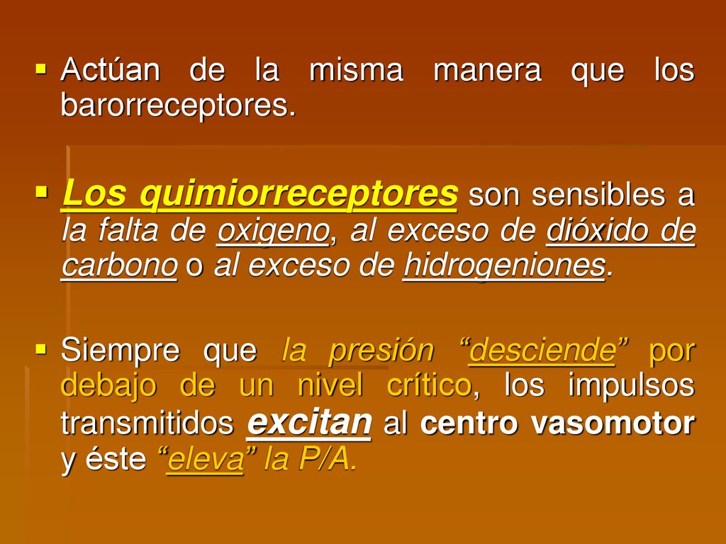 Actúan de la misma manera que los barorreceptores.