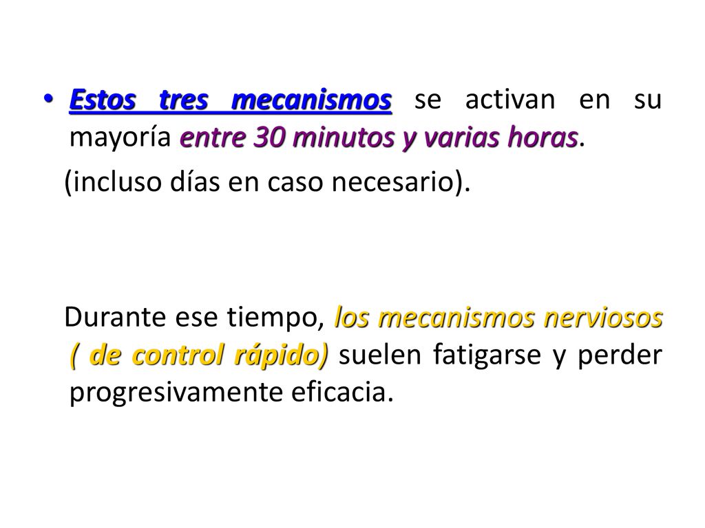 Estos tres mecanismos se activan en su mayoría entre 30 minutos y varias horas.