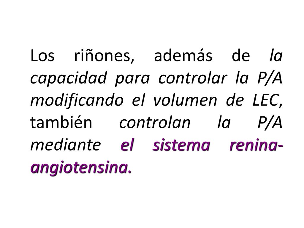 Los riñones, además de la capacidad para controlar la P/A modificando el volumen de LEC, también controlan la P/A mediante el sistema renina-angiotensina.