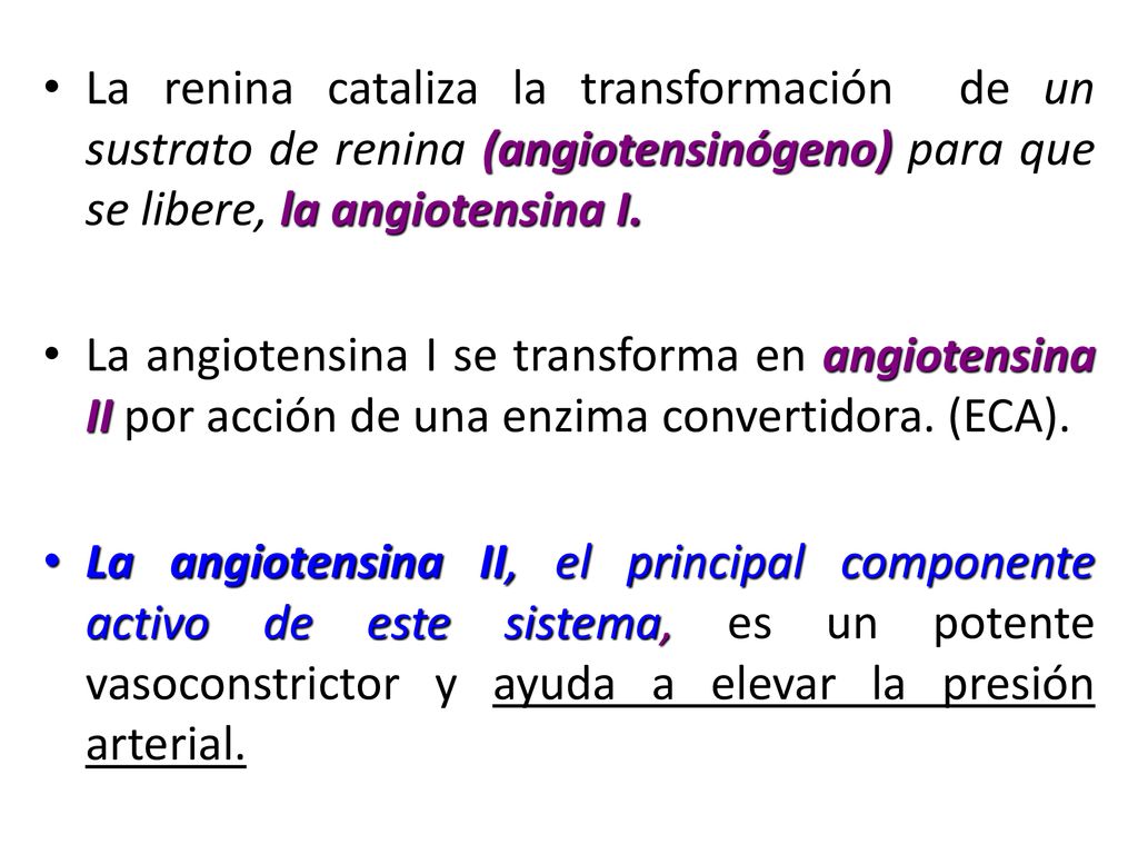 La renina cataliza la transformación de un sustrato de renina (angiotensinógeno) para que se libere, la angiotensina I.
