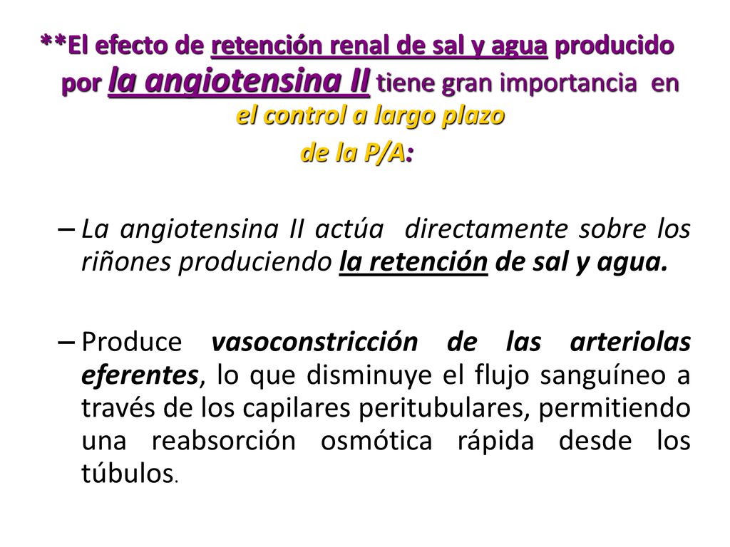 **El efecto de retención renal de sal y agua producido por la angiotensina II tiene gran importancia en el control a largo plazo