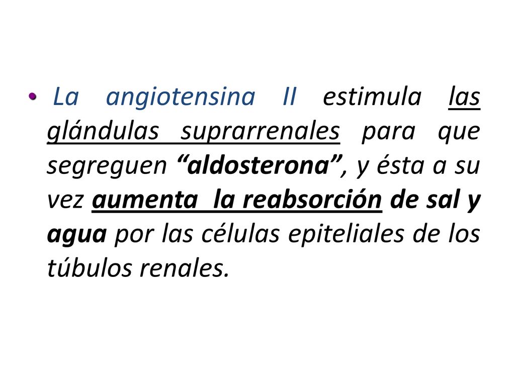 La angiotensina II estimula las glándulas suprarrenales para que segreguen aldosterona , y ésta a su vez aumenta la reabsorción de sal y agua por las células epiteliales de los túbulos renales.