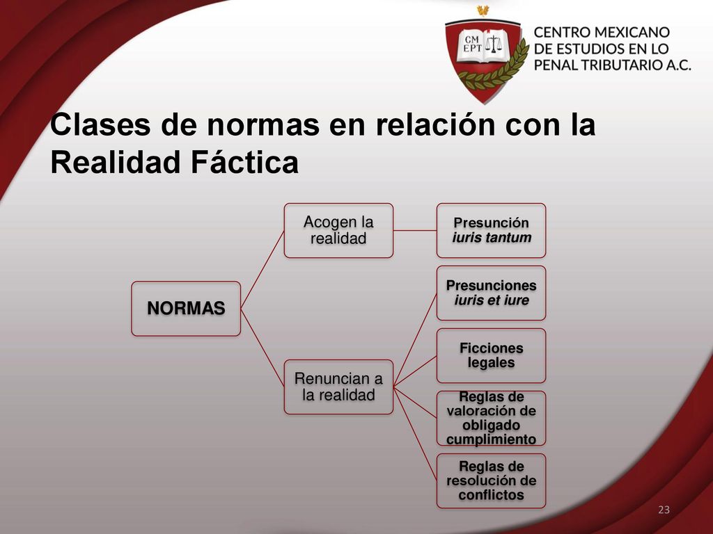 Clases de normas en relación con la Realidad Fáctica