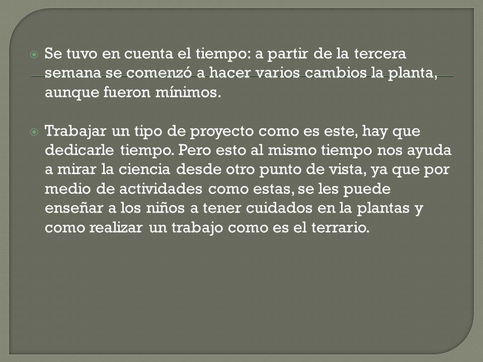 Se tuvo en cuenta el tiempo: a partir de la tercera semana se comenzó a hacer varios cambios la planta, aunque fueron mínimos.