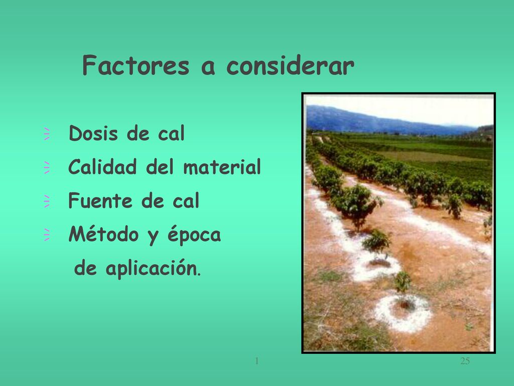 Factores a considerar Dosis de cal Calidad del material Fuente de cal