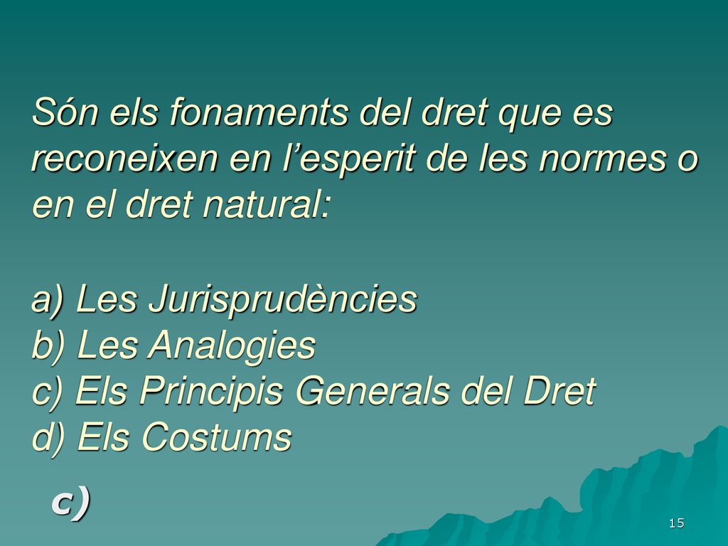 Són els fonaments del dret que es reconeixen en l’esperit de les normes o en el dret natural: a) Les Jurisprudències b) Les Analogies c) Els Principis Generals del Dret d) Els Costums