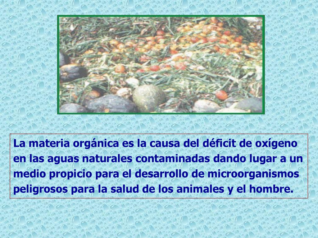 La materia orgánica es la causa del déficit de oxígeno en las aguas naturales contaminadas dando lugar a un medio propicio para el desarrollo de microorganismos peligrosos para la salud de los animales y el hombre.