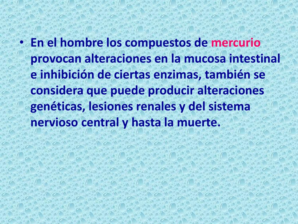 En el hombre los compuestos de mercurio provocan alteraciones en la mucosa intestinal e inhibición de ciertas enzimas, también se considera que puede producir alteraciones genéticas, lesiones renales y del sistema nervioso central y hasta la muerte.
