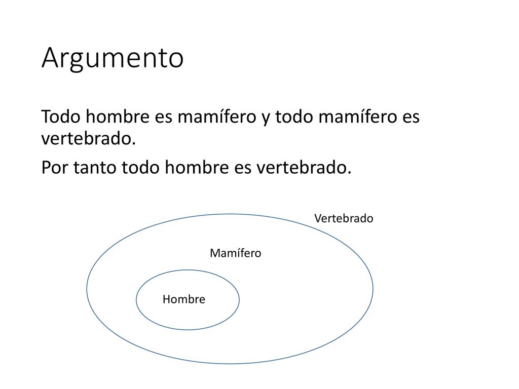 Argumento Todo hombre es mamífero y todo mamífero es vertebrado. Por tanto todo hombre es vertebrado.