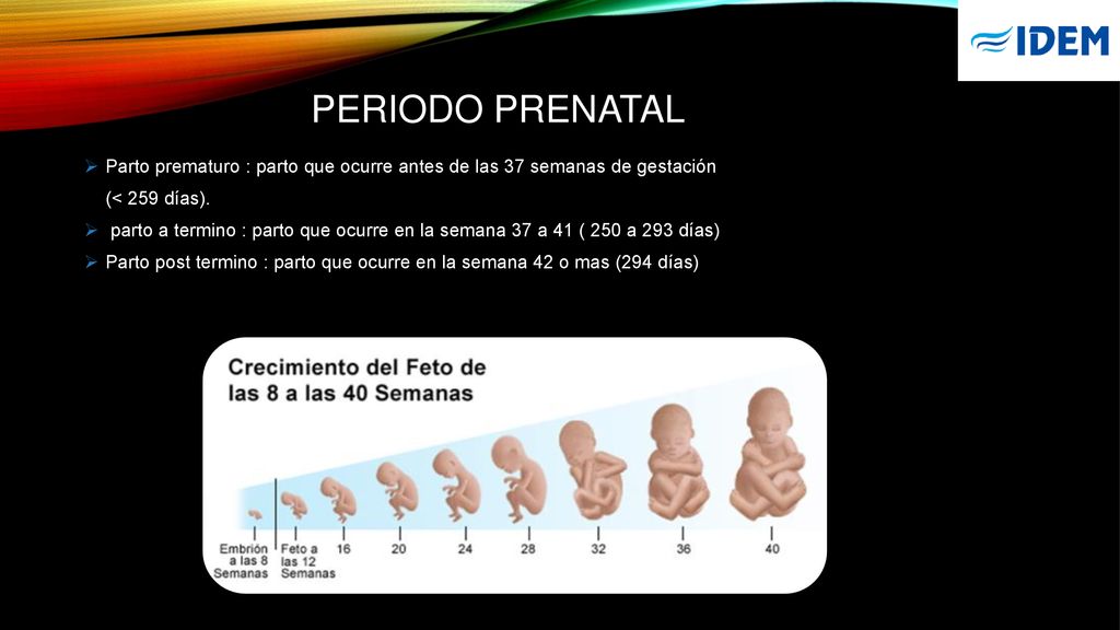 PERIODO PRENATAL Parto prematuro : parto que ocurre antes de las 37 semanas de gestación. (< 259 días).