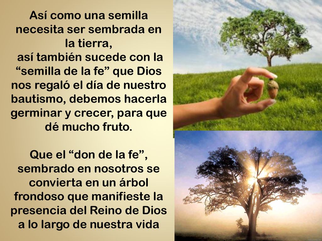 Así como una semilla necesita ser sembrada en la tierra,