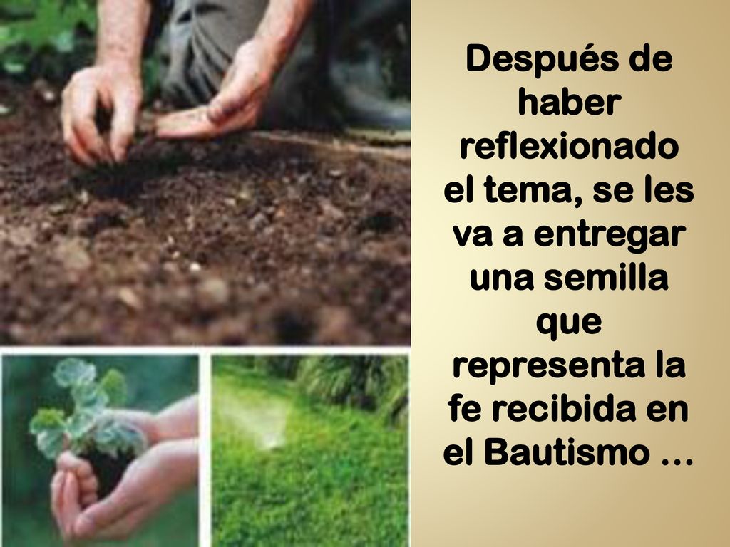 Después de haber reflexionado el tema, se les va a entregar una semilla que representa la fe recibida en el Bautismo …
