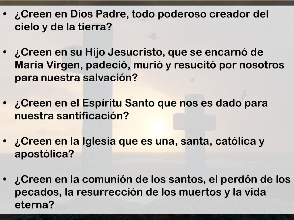 • ¿Creen en Dios Padre, todo poderoso creador del cielo y de la tierra