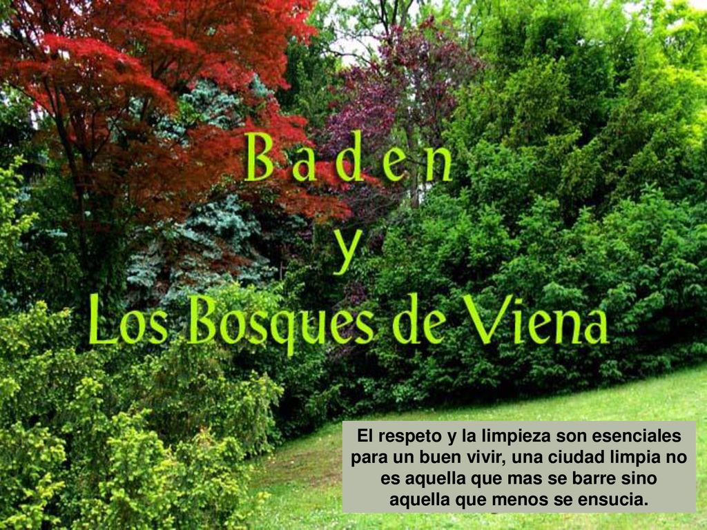 P BADEN - CAPA INICIAL EM ESPANHOL COM LEGENDA 0 FONTE PROSE ANTIQUE Regular 60 pt